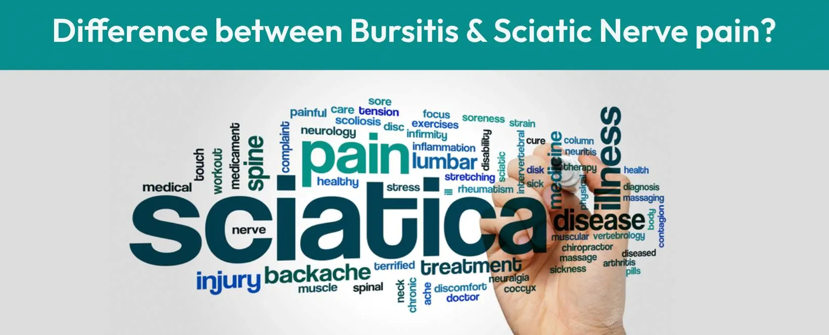 Difference between Bursitis & Sciatic Nerve Pain
