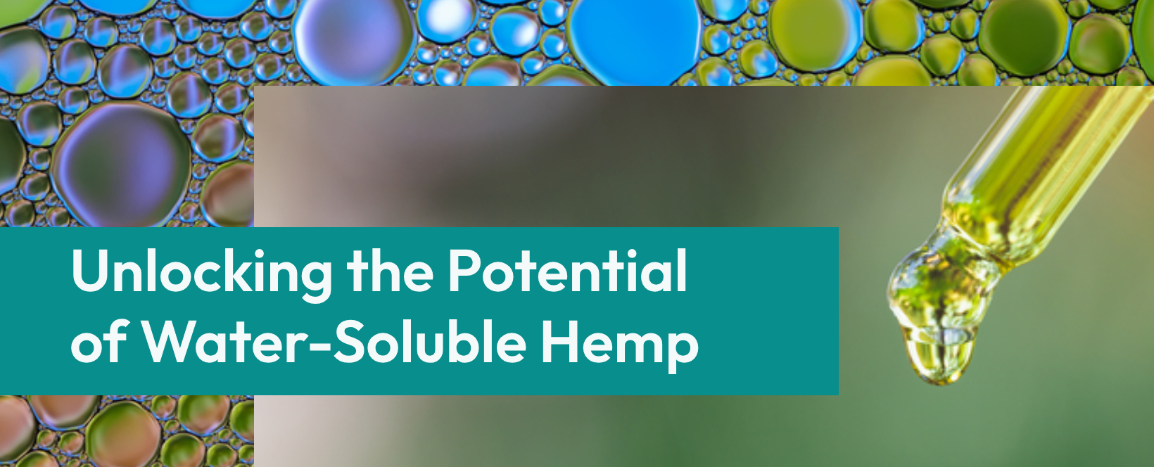 Unlocking the Potential of Water-Soluble Hemp: The Impact of Nanocarriers on Hemp Oil Solubility and Effectiveness
