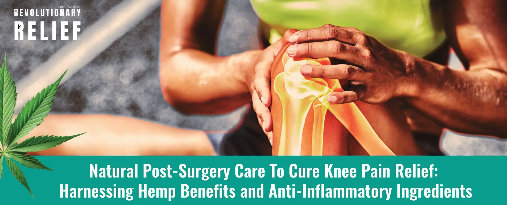 Harnessing Hemp Benefits and Anti-Inflammatory Ingredients